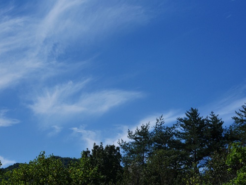 c0123890_2112220.jpg