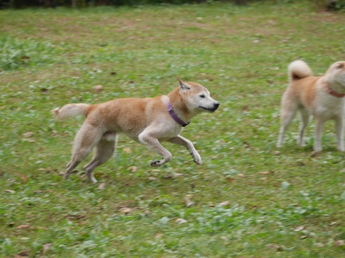 c0123890_2121151.jpg