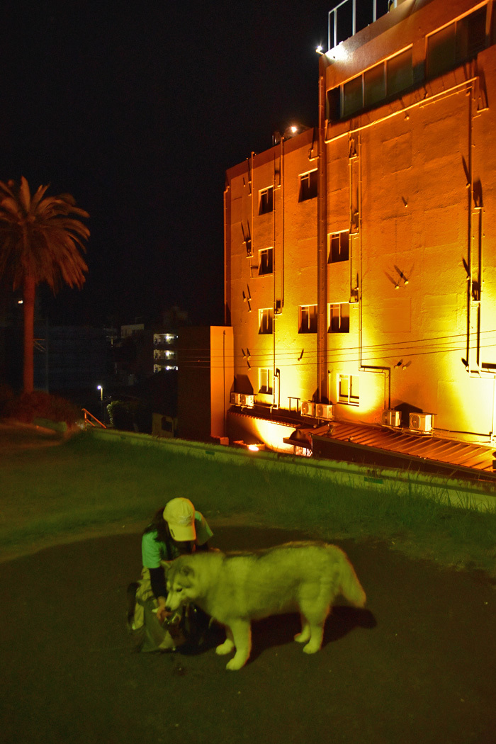 c0049299_22373282.jpg