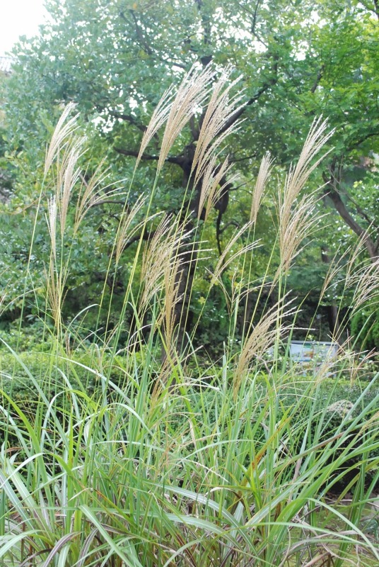 e0025300_16182797.jpg