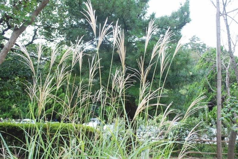 e0025300_16185966.jpg