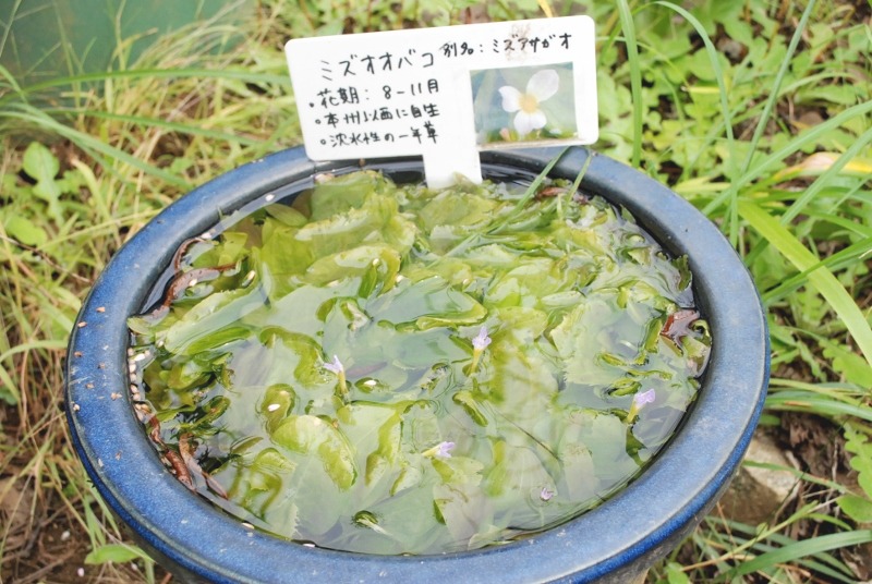 e0025300_161915.jpg