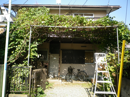 f0239100_2336430.jpg