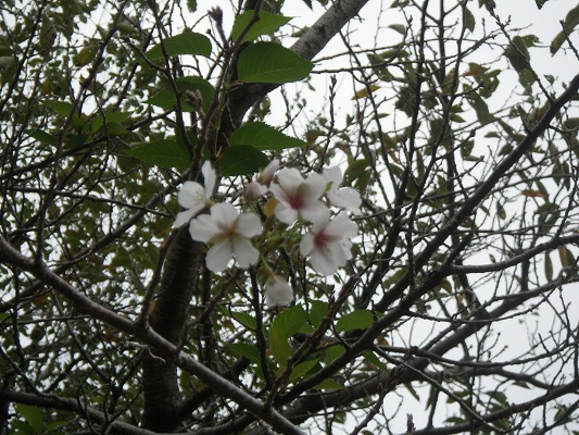 f0187402_1875321.jpg