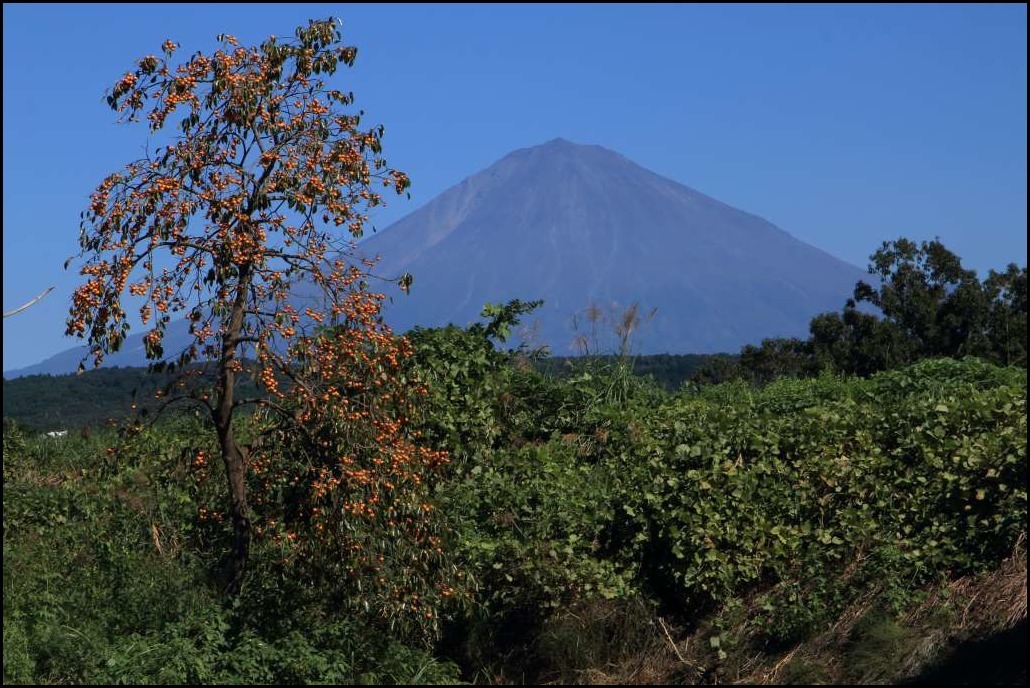 a0188405_23163119.jpg