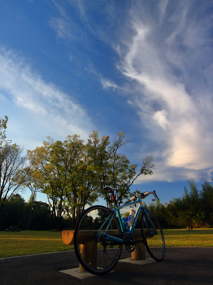e0009009_11143296.jpg