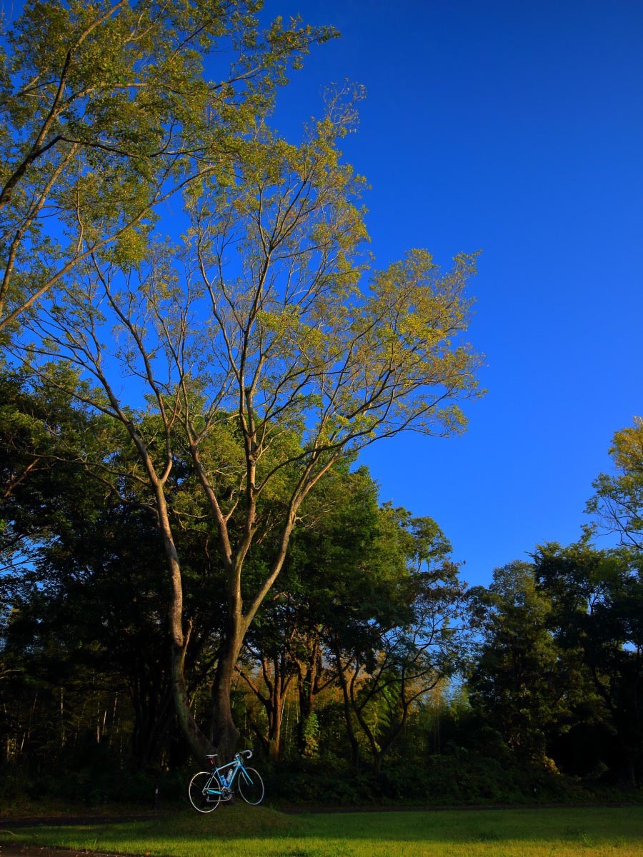 e0009009_11212076.jpg