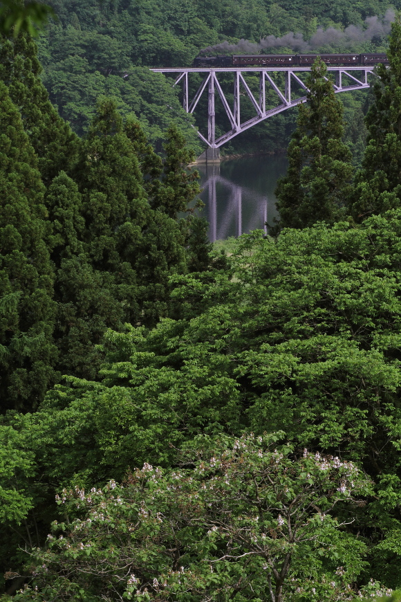 b0190710_20412313.jpg