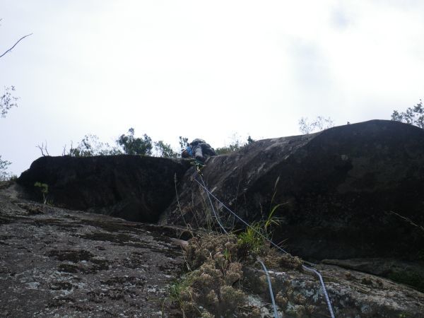 d0006512_17242772.jpg