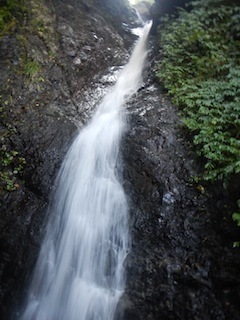 c0359615_13052097.jpg