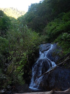 c0359615_13053868.jpg