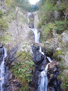 c0359615_13064587.jpg