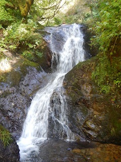 c0359615_13075586.jpg