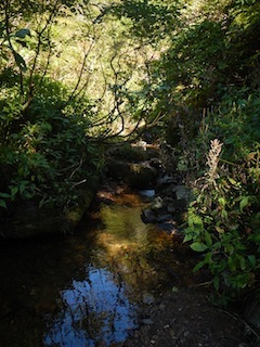 c0359615_13080951.jpg