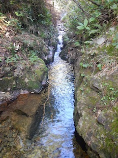 c0359615_13083312.jpg