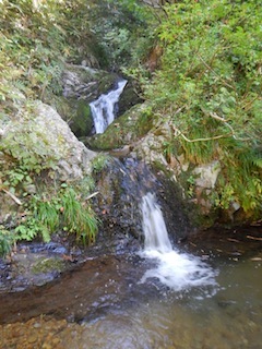 c0359615_13084386.jpg
