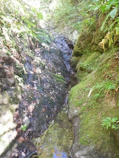 c0359615_13085712.jpg