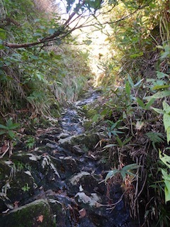 c0359615_13092013.jpg