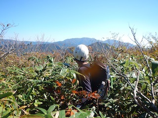 c0359615_13093227.jpg