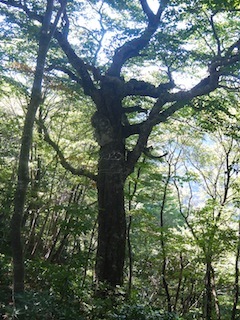 c0359615_13102655.jpg