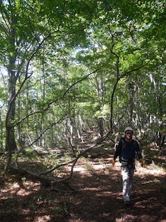 c0359615_13104851.jpg