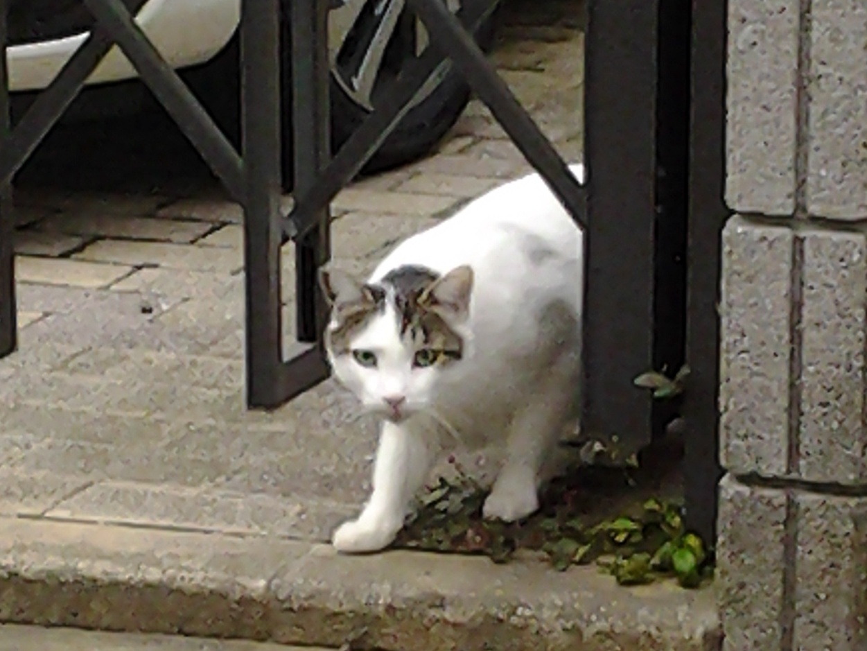 c0158916_9274172.jpg