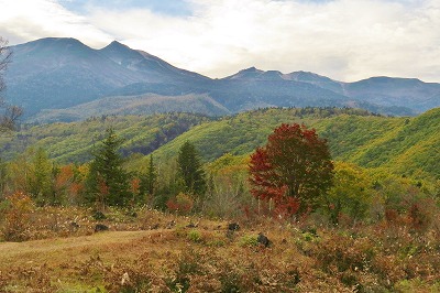 a0353718_19131596.jpg