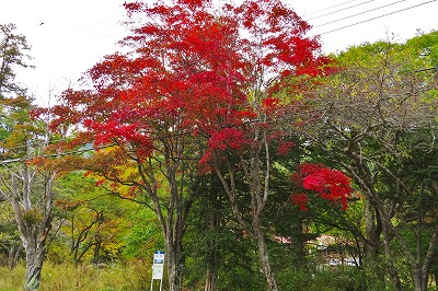 a0353718_19132646.jpg