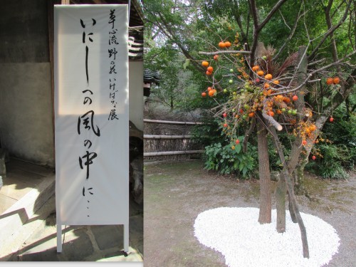 f0139520_20223024.jpg