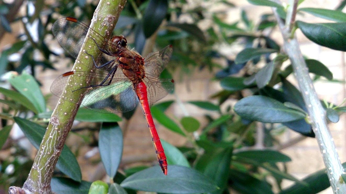 b0001324_17475517.jpg