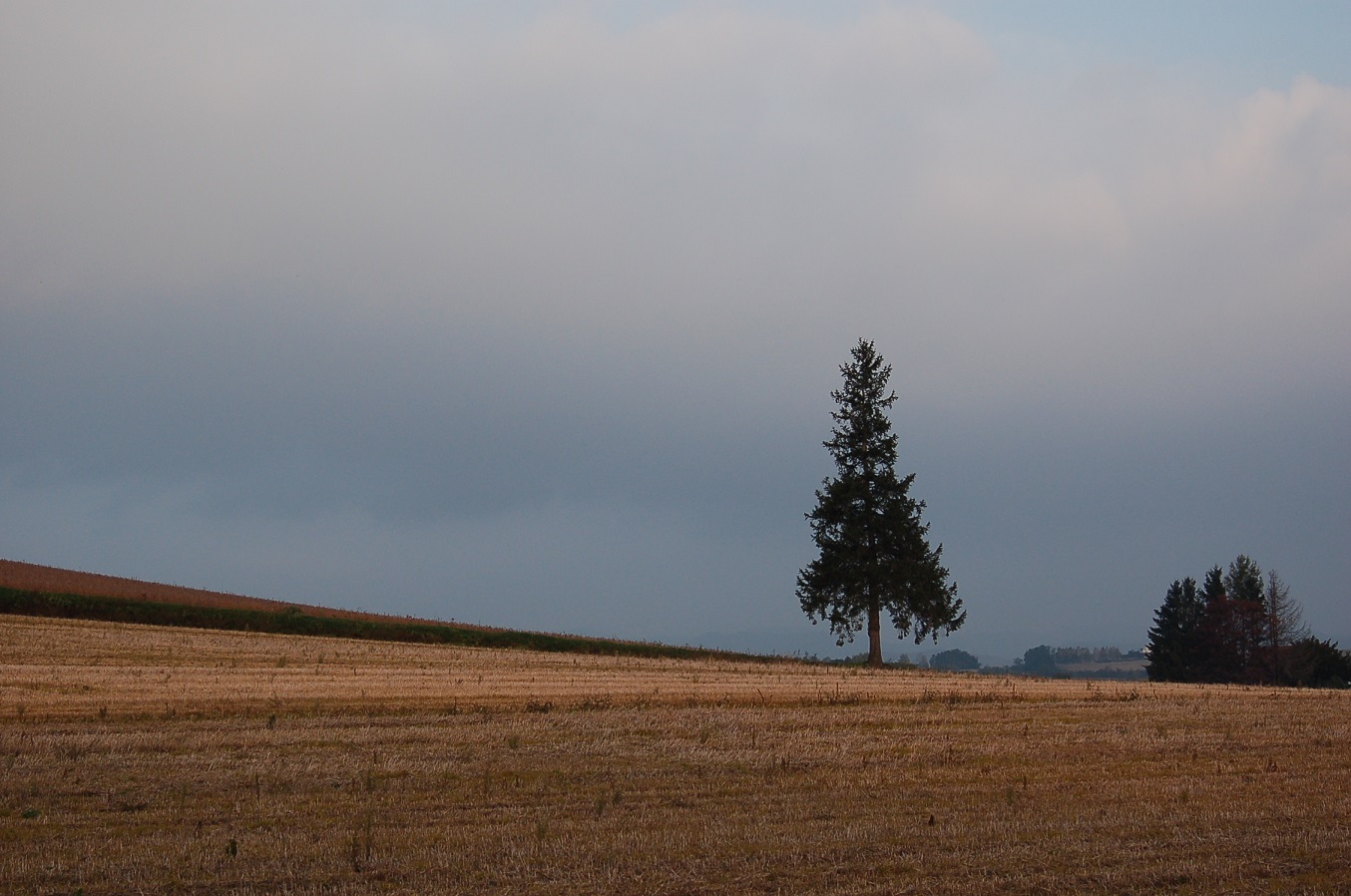 b0142428_1031273.jpg