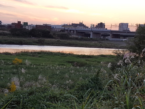 e0016828_10320980.jpg