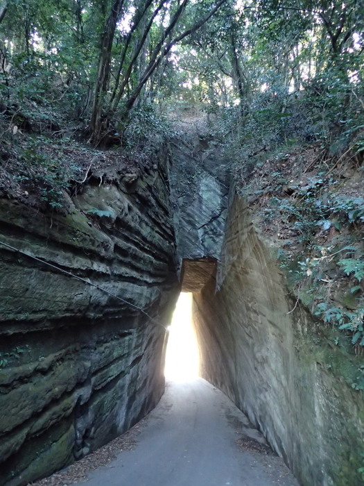 c0034029_722041.jpg