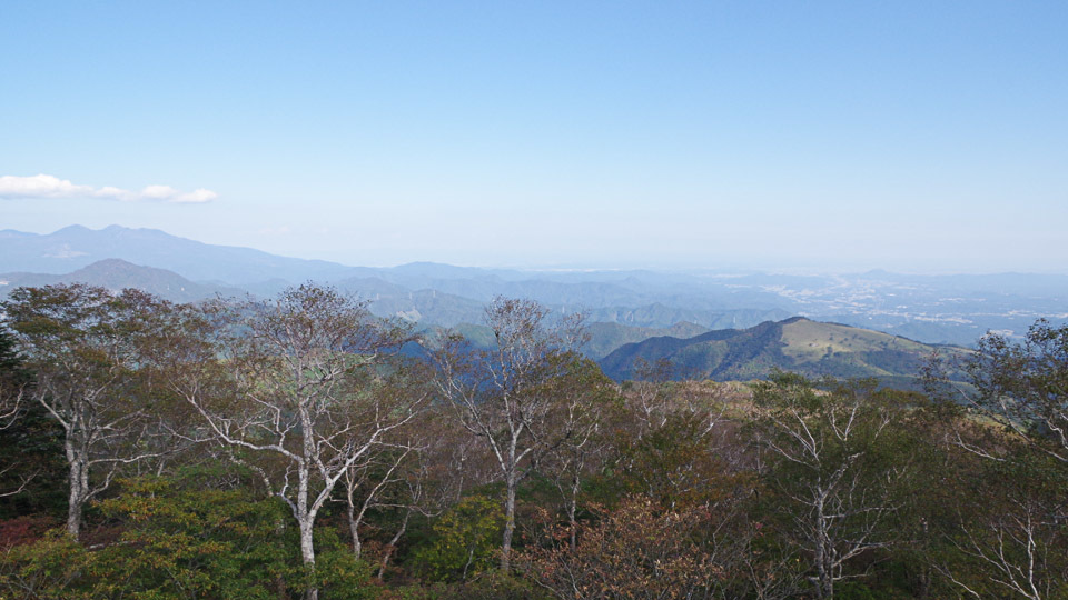 f0300637_00420357.jpg
