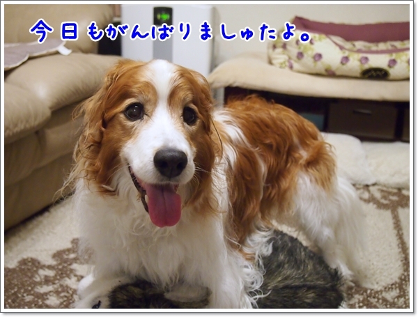 d0013149_01184932.jpg