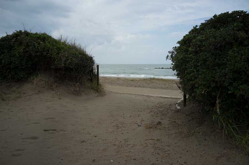 d0342652_1685670.jpg