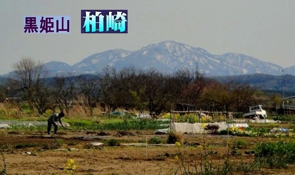 c0119160_1625093.jpg