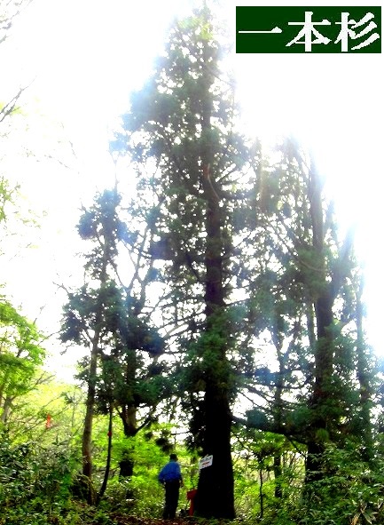 c0119160_1941467.jpg