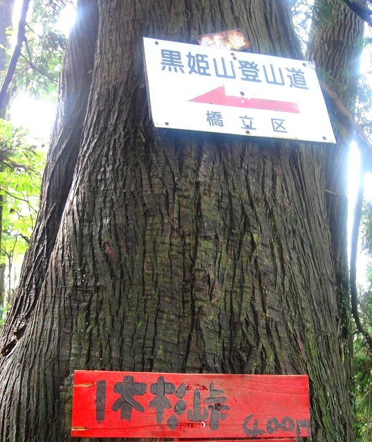 c0119160_1951681.jpg