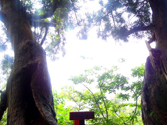 c0119160_1953233.jpg