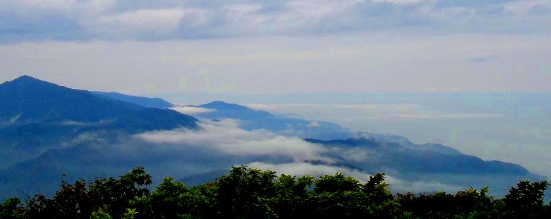 c0119160_2311881.jpg