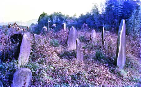 e0018762_1834281.jpg