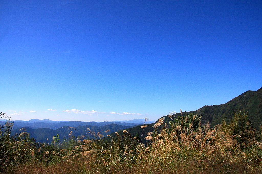 e0220163_18254664.jpg