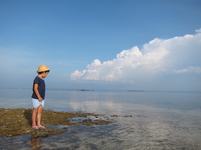 c0008664_15571148.jpg