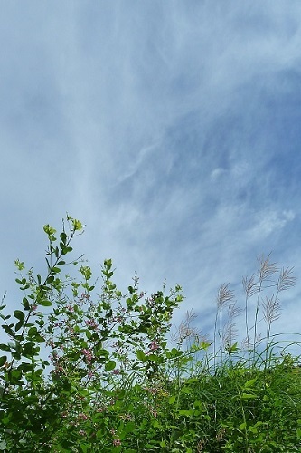 b0326576_10112732.jpg