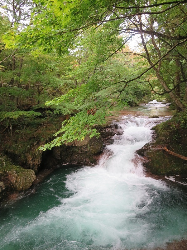 d0129083_09463378.jpg