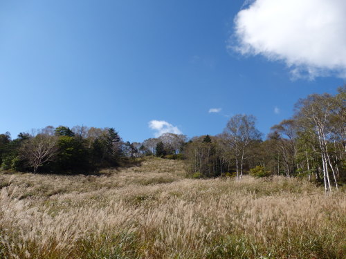 b0334084_13445048.jpg