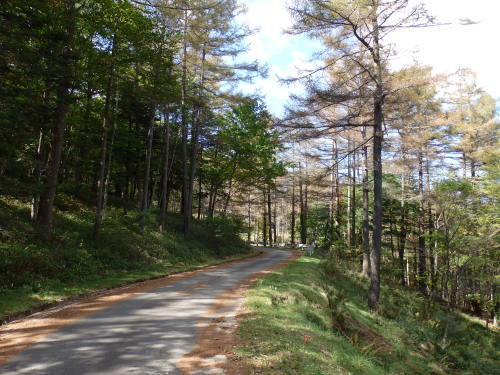 b0334084_13481402.jpg