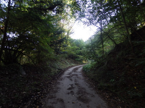 b0334084_13521280.jpg