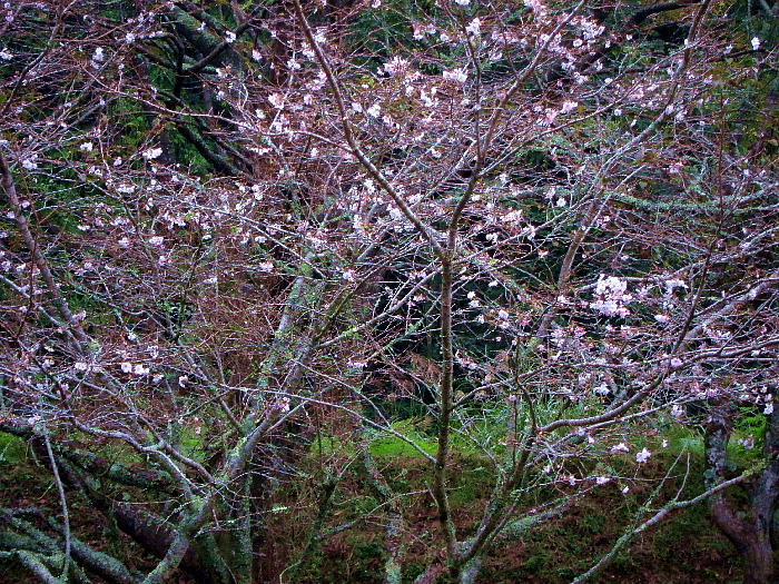 b0171185_17335961.jpg